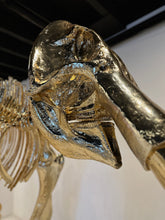 Load image into Gallery viewer, "Genus Mammuthus"