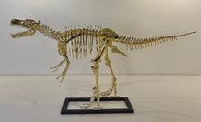 Load image into Gallery viewer, "Baby T-Rex"