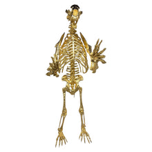 Load image into Gallery viewer, "Short-Faced Bear"