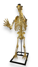 Load image into Gallery viewer, "Short-Faced Bear"