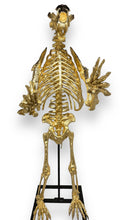 Load image into Gallery viewer, "Short-Faced Bear"