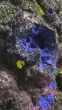 Load and play video in Gallery viewer, "Coral"