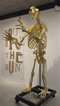 Load and play video in Gallery viewer, "Short-Faced Bear"
