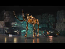Load and play video in Gallery viewer, "Genus Mammuthus"