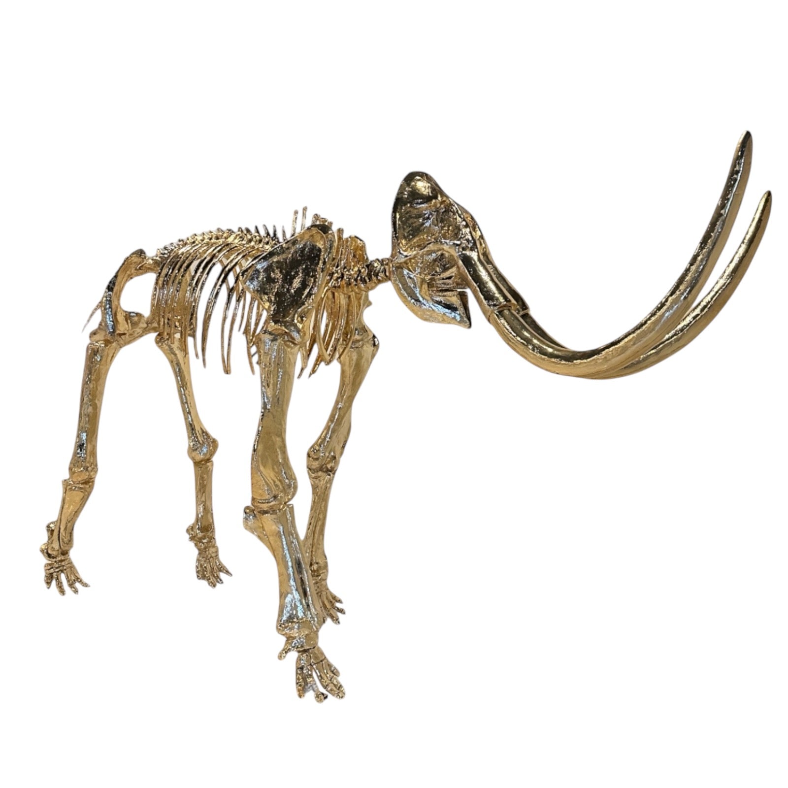 BIG-TUSKED MAMMOTH 英語 旧アジア レリーフ 48時間限定]遊戯王 英語 ビッグホーン•マンモス レリーフ 旧